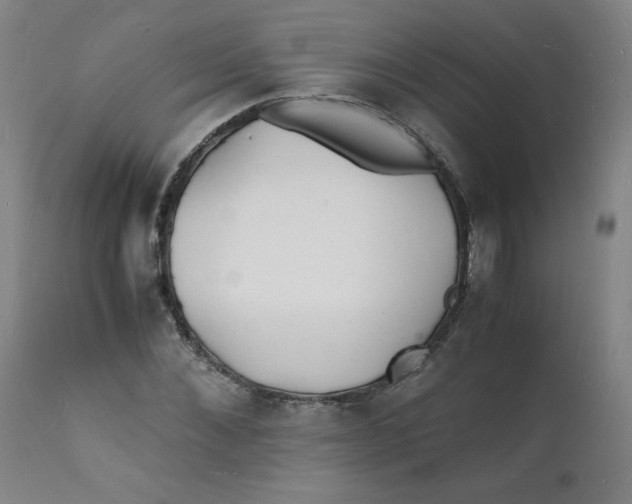 X0000112150876200909041101