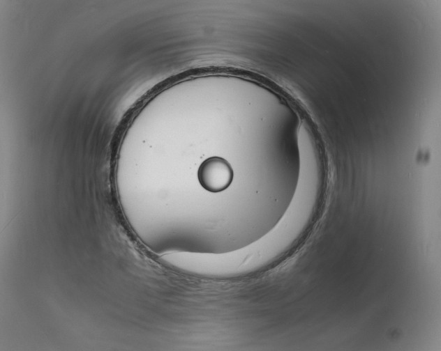 X0000112150877200909041101