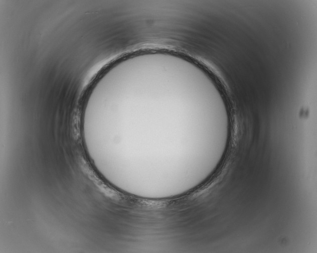 X0000112150878200909041101