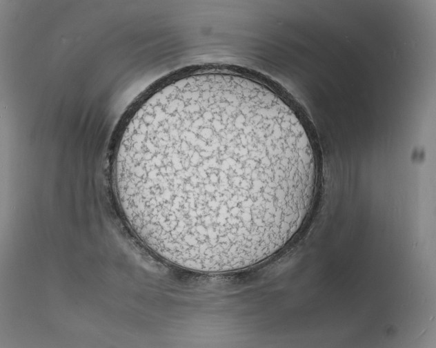 X0000112150879200909041101