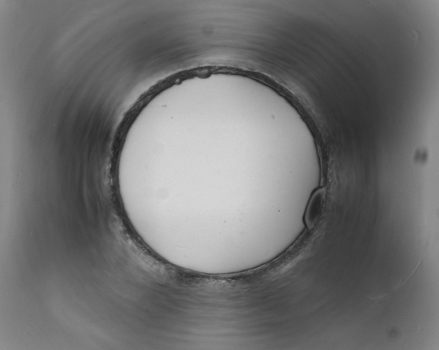 X0000112150880200909041101