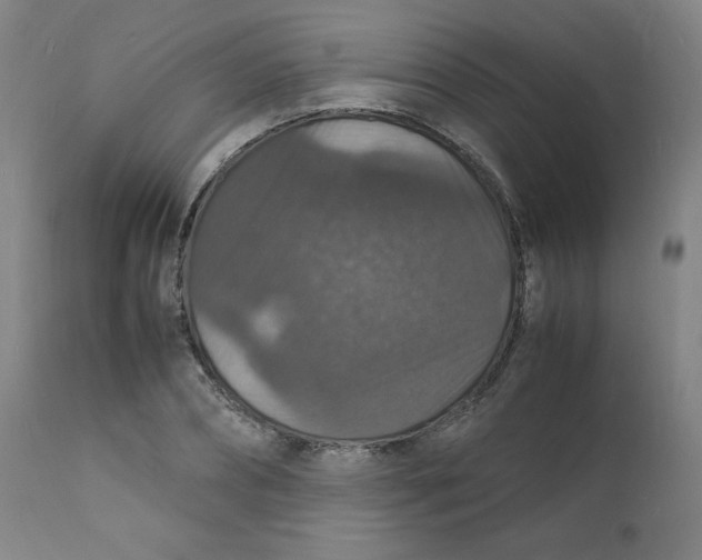 X0000112150882200909041101