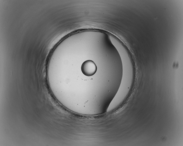 X0000112150885200909041101