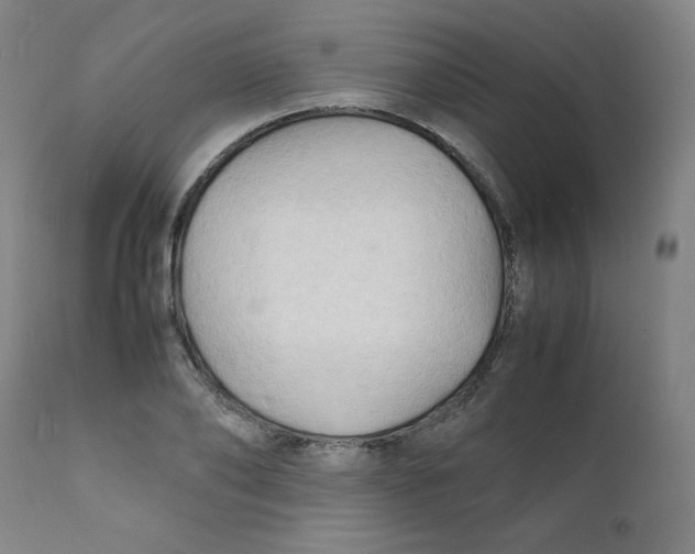 X0000112150886200909041101