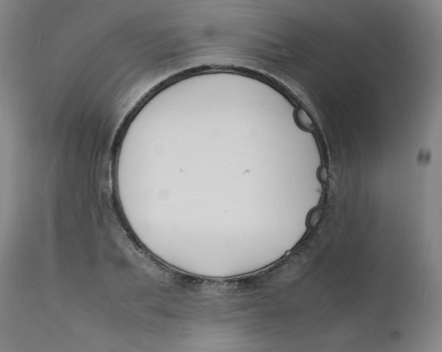 X0000112150887200909041101