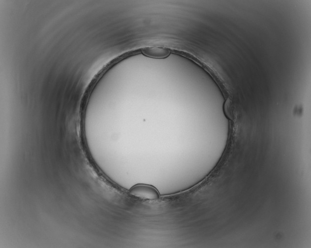 X0000112150888200909041101