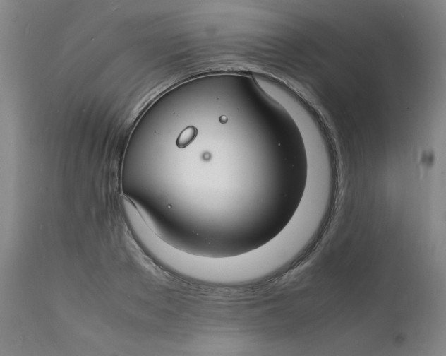 X0000112150889200909041101