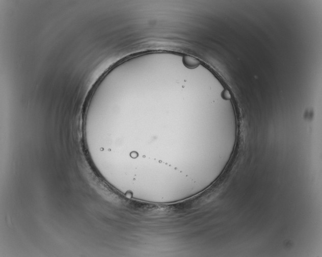 X0000112150891200909041101