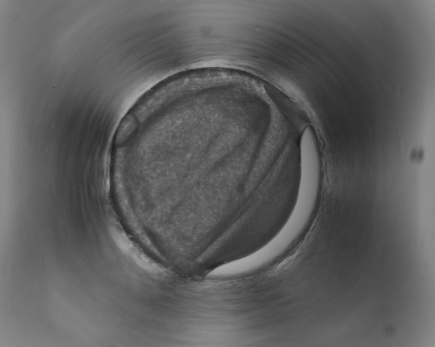 X0000112150892200909041101