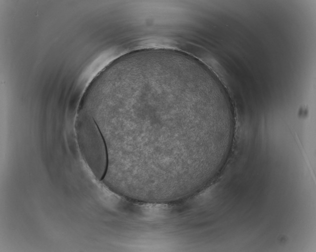 X0000112150893200909041101