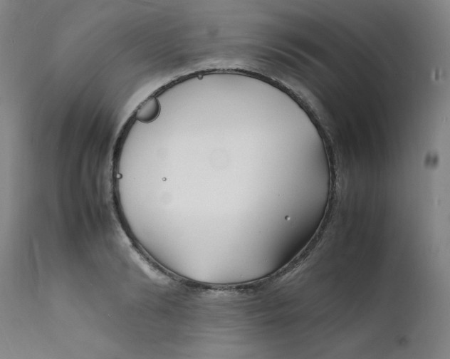 X0000112150894200909041101