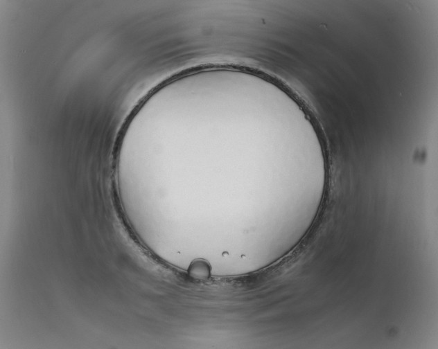 X0000112150895200909041101