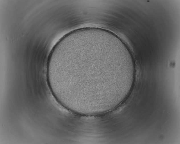 X0000112150896200909041101