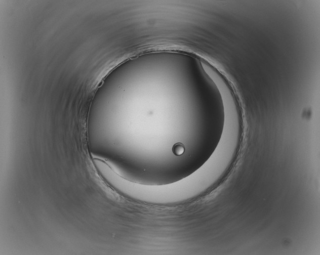 X0000112150897200909041101