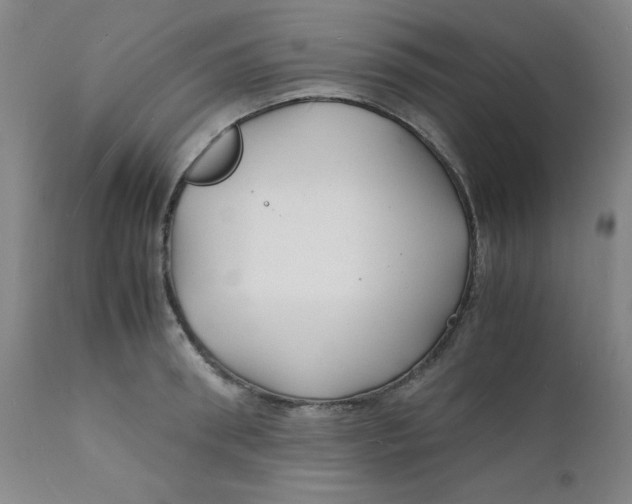 X0000112150898200909041101