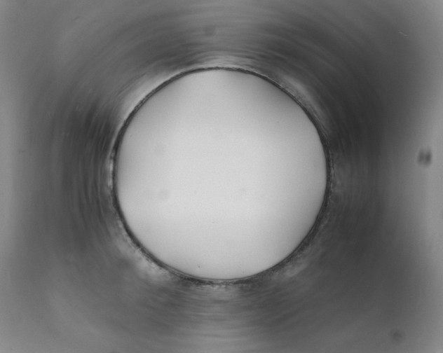 X0000112150900200909041101