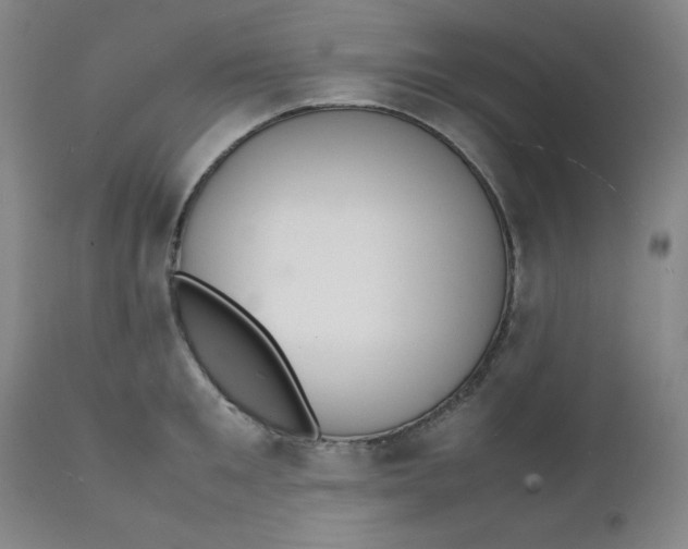 X0000112150901200909041101