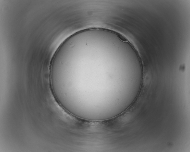 X0000112150903200909041101