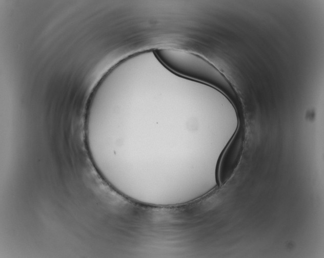 X0000112150904200909041101