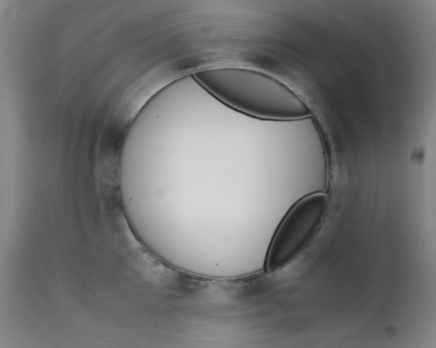 X0000112150905200909041100