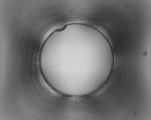 X0000112150906200909041100