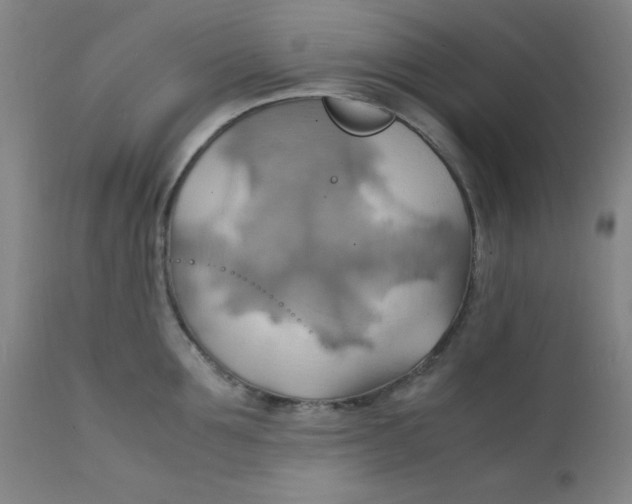 X0000112150907200909041100