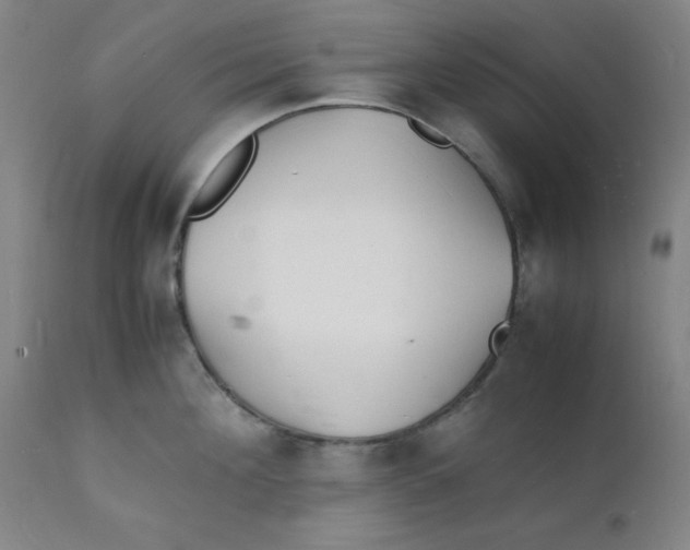 X0000112150908200909041100