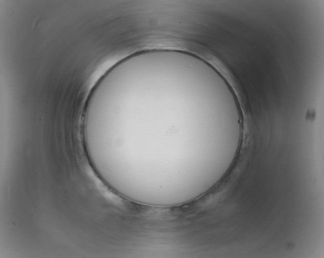 X0000112150909200909041100