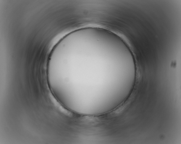 X0000112150910200909041100