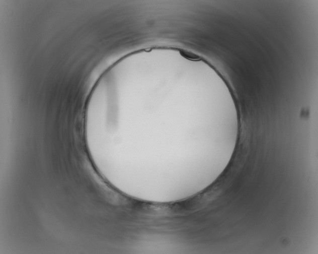 X0000112150911200909041100