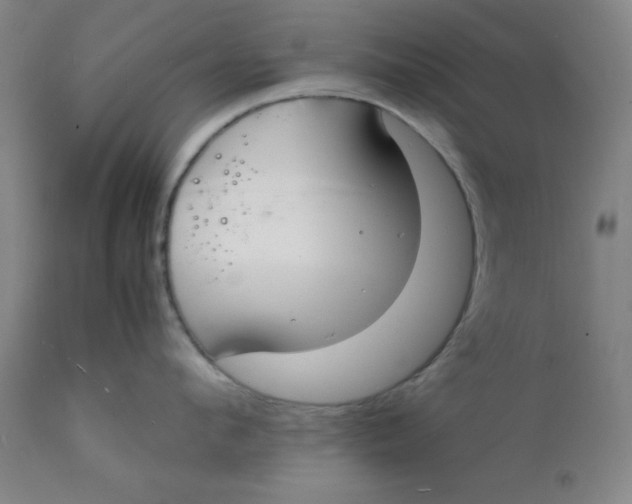 X0000112150912200909041100