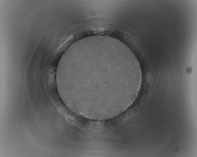 X0000112150914200909041100