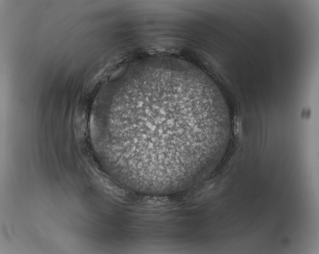 X0000112150915200909041100