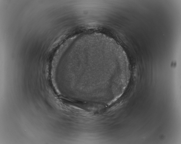 X0000112150916200909041100