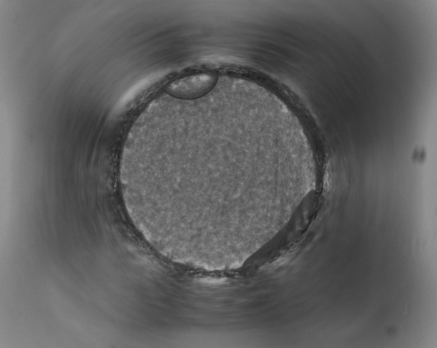 X0000112150919200909041100