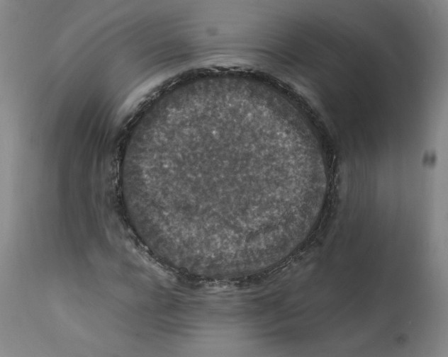 X0000112150920200909041100