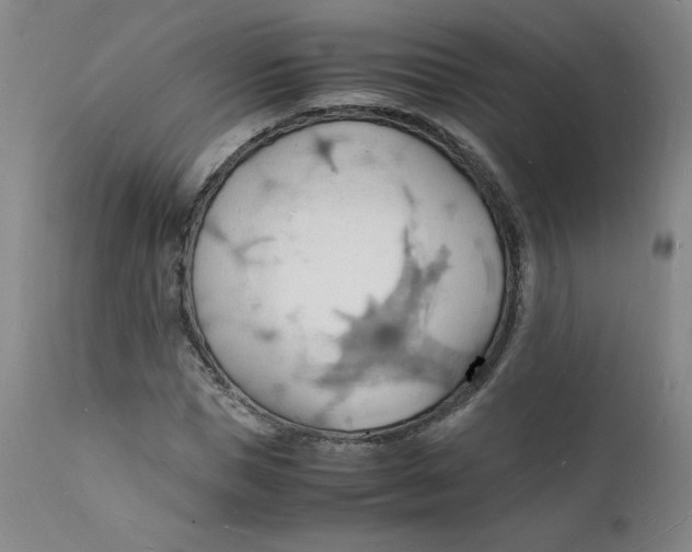 X0000112150921200909041100