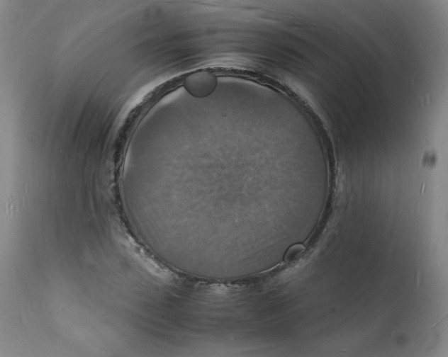 X0000112150923200909041100