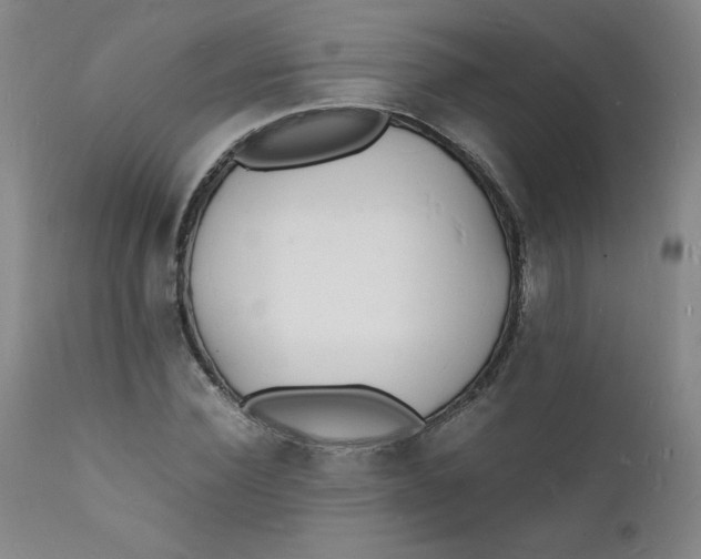 X0000112150924200909041100