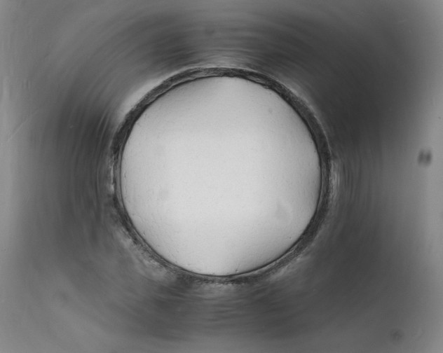 X0000112150925200909041100