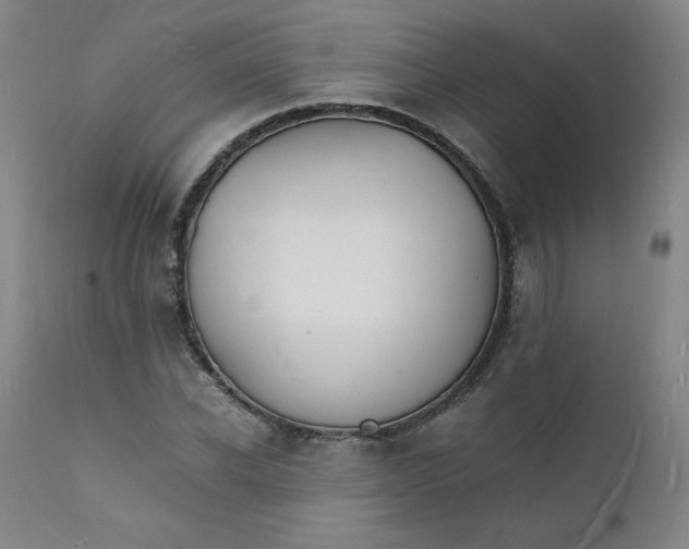 X0000112150926200909041100