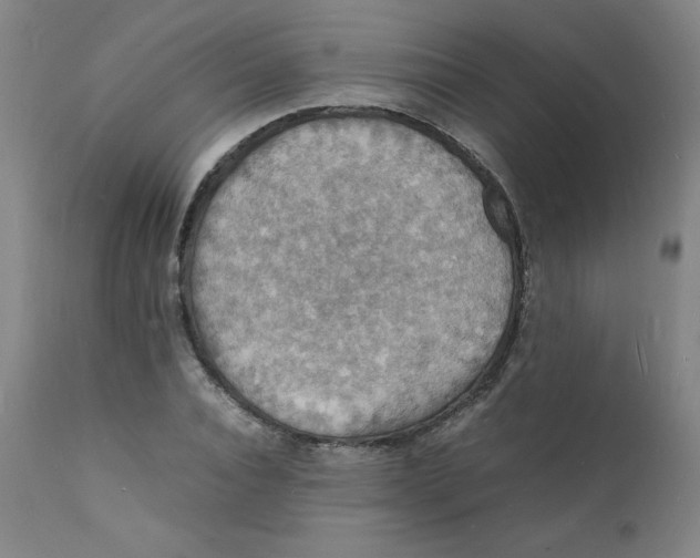 X0000112150928200909041100