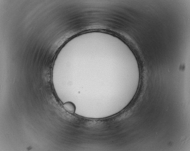 X0000112150929200909041100