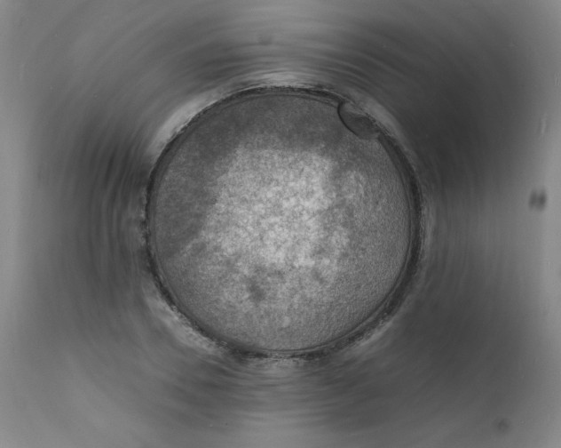 X0000112150930200909041100