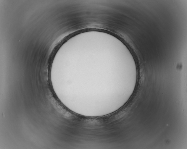 X0000112150931200909041100