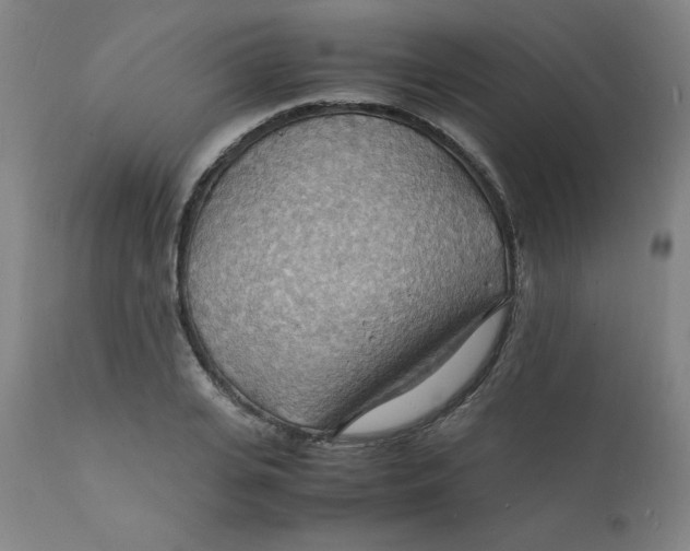 X0000112150935200909041100