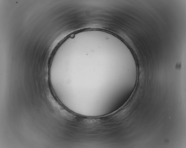 X0000112150939200909041100