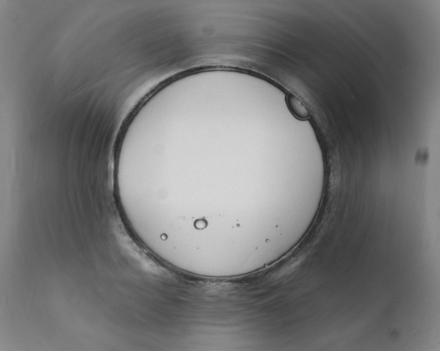 X0000112150940200909041100