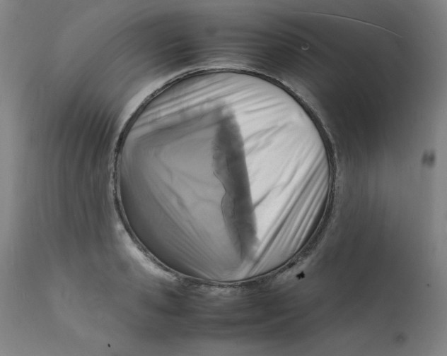 X0000112150941200909041100