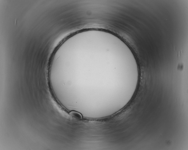 X0000112150942200909041100